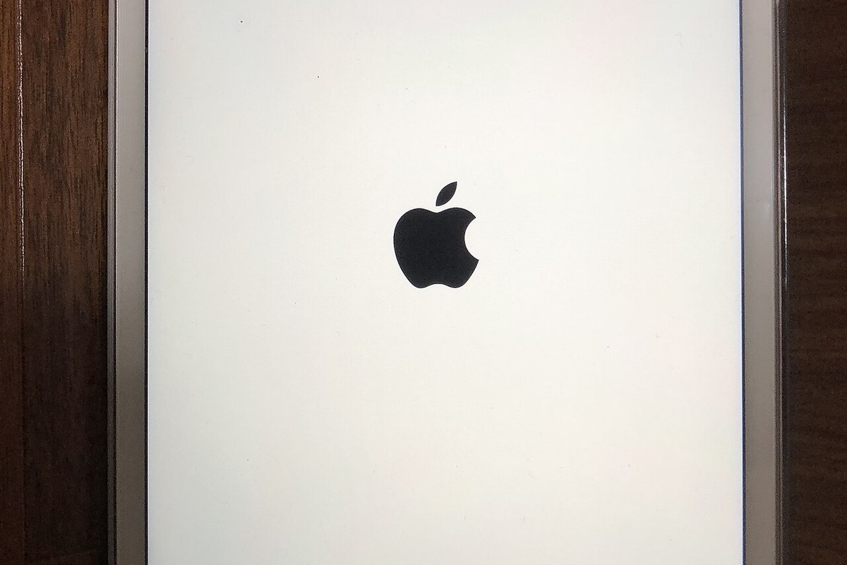 Apple iPad mini 5 — detail crop from the cited public reference image.