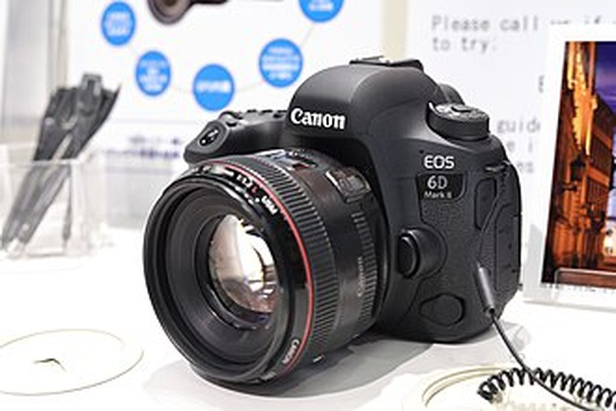 Canon EOS 6D Mark II — detail crop from the cited public reference image.