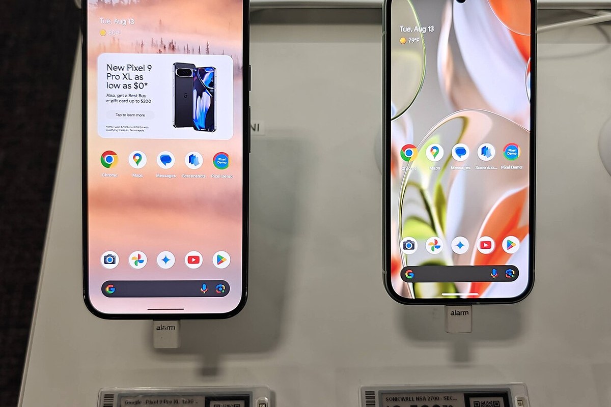 Google Pixel 9 Pro XL — detail crop from the cited public reference image.