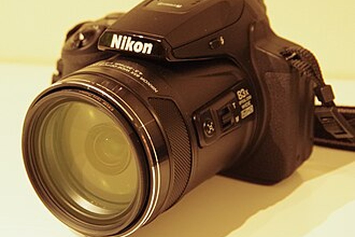 Nikon Coolpix P950 — detail crop from the cited public reference image.