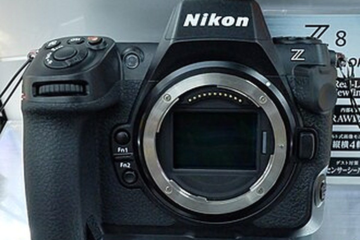 Nikon Z8 — detail crop from the cited public reference image.