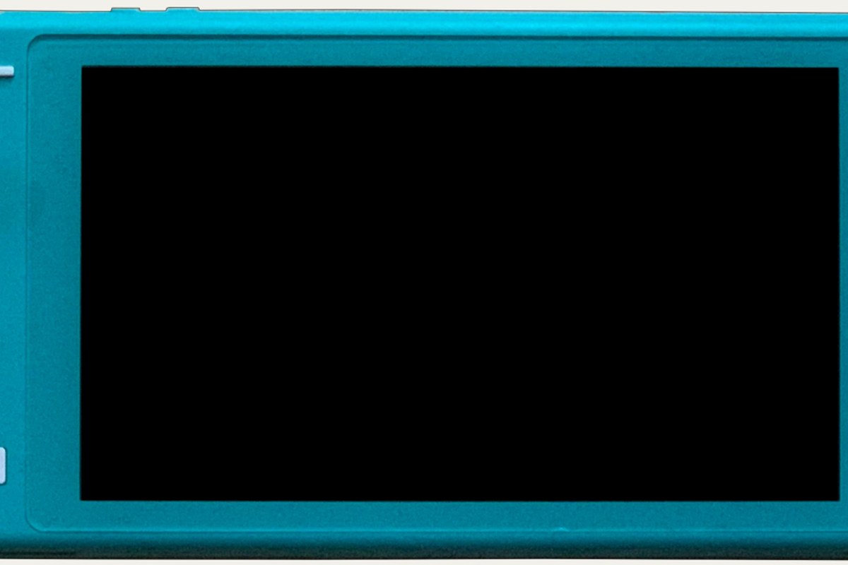 Nintendo Nintendo Switch Lite — detail crop from the cited public reference image.