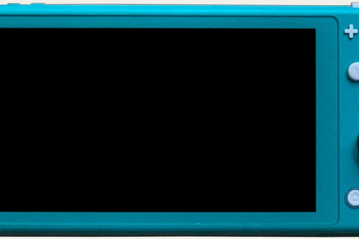 Nintendo Nintendo Switch Lite — detail crop from the cited public reference image.