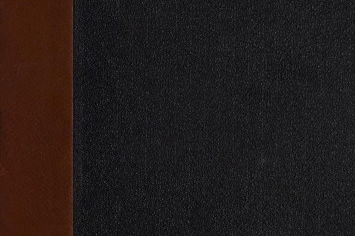TCL S555 — detail crop from the cited public reference image.